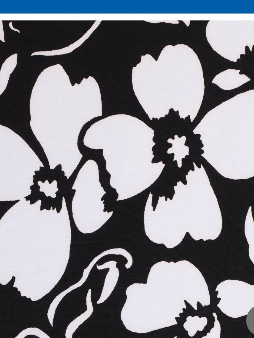 (6) Anne Klein Floral V-Neck Sleeveless Dress - Picture 4 of 4